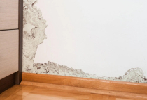 Những dấu hiệu tiết lộ ống nước trong tường bị rò rỉ